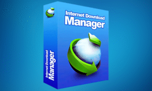 Internet Download Manager (IDM)