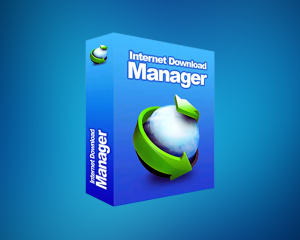 Internet Download Manager (IDM)